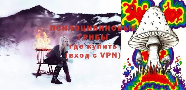 сатива Аркадак