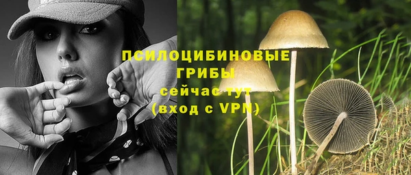 сатива Аркадак