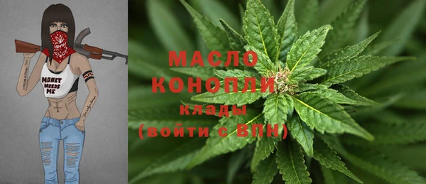 сатива Аркадак