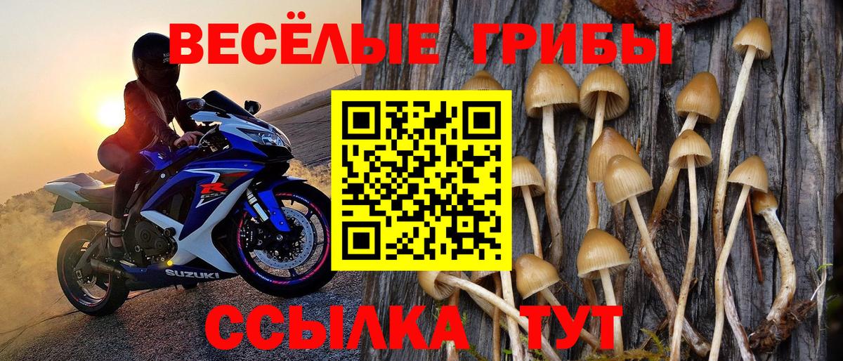 Моздок  Псилоцибиновые грибы ЛСД  Псилоцибиновые грибы Cubensis  Вход с VPN 