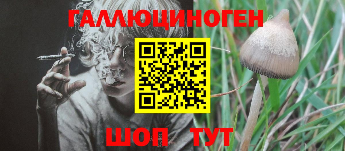 Галлюциногенные грибы мухоморы Моздок